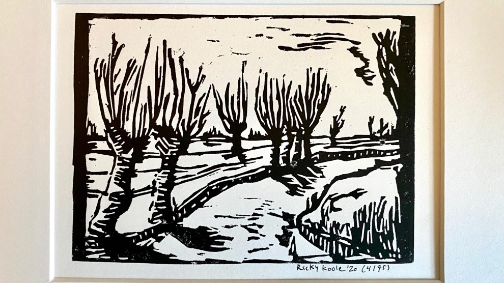 Linoprint: Knotwilgen